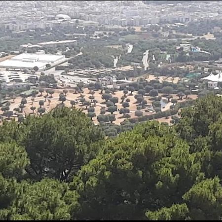 Trullo Dell'Immacolata - Casa Vacanze Gestita Da Suore Selva Di Fasano Eksteriør billede